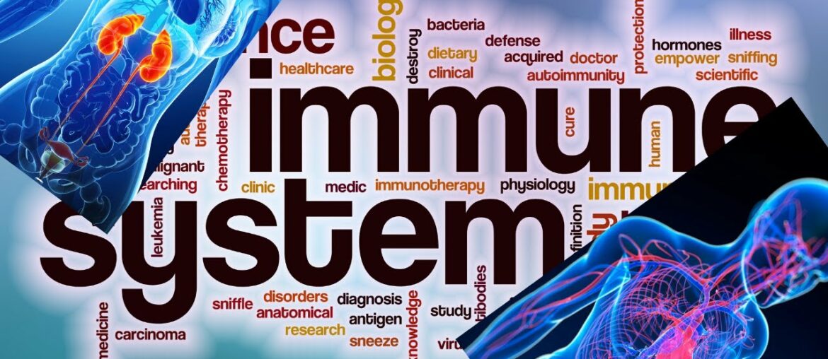 Is There Such a Thing as an Immune System Supplement