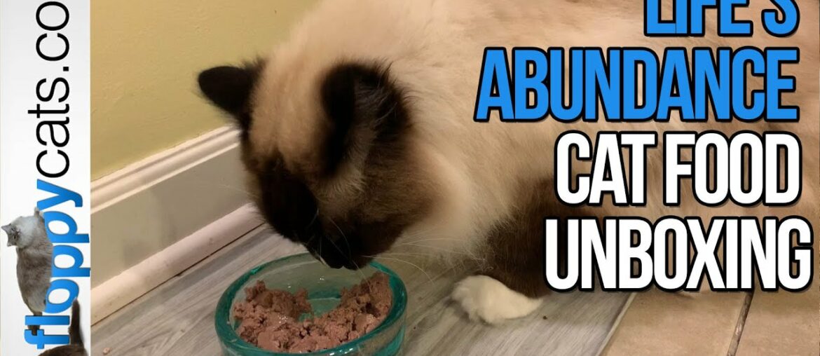 Life’s Abundance Cat Food Canned Pork and Duck Review Unboxing