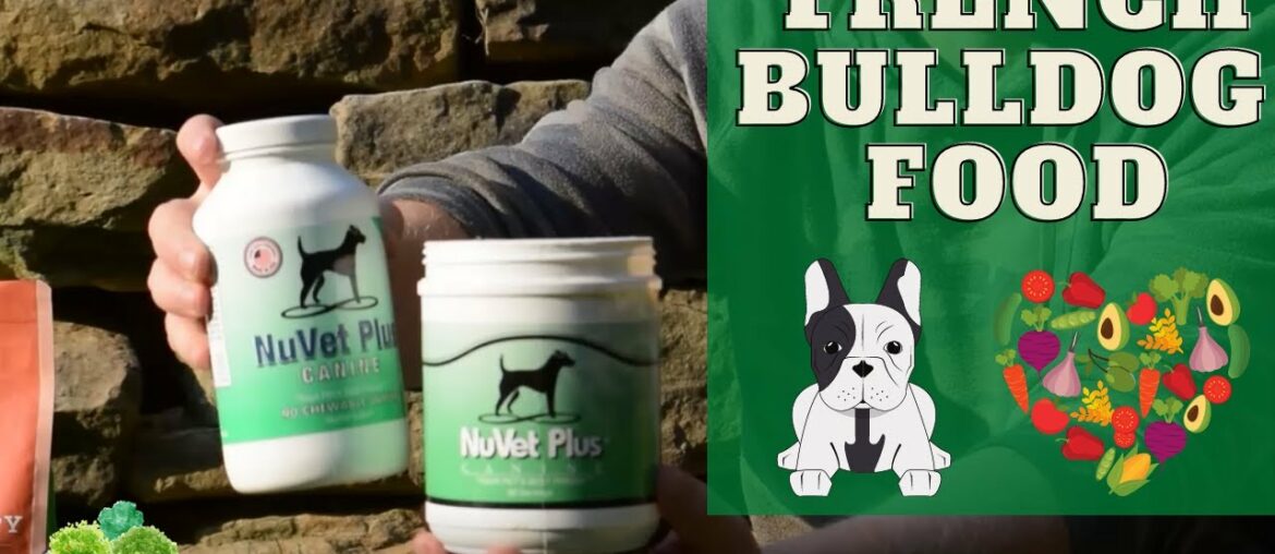 Best French Bulldog (frenchie) and Frenchton Food and Multivitamin Supplements
