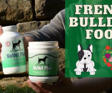 Best French Bulldog (frenchie) and Frenchton Food and Multivitamin Supplements