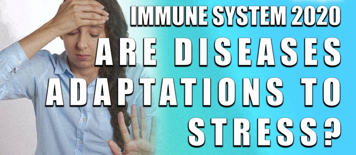 Immune System 2020. Are Diseases Adaptations to Stress_