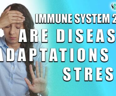 Immune System 2020. Are Diseases Adaptations to Stress_
