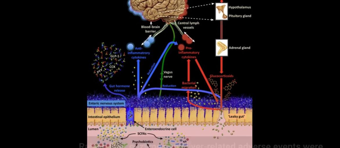 The Buzz on Editorial: Effect of Atorvastatin, Vitamin E and C on  - NATAP