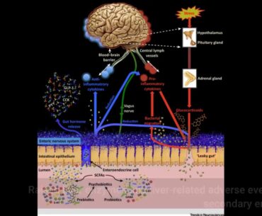 The Buzz on Editorial: Effect of Atorvastatin, Vitamin E and C on  - NATAP