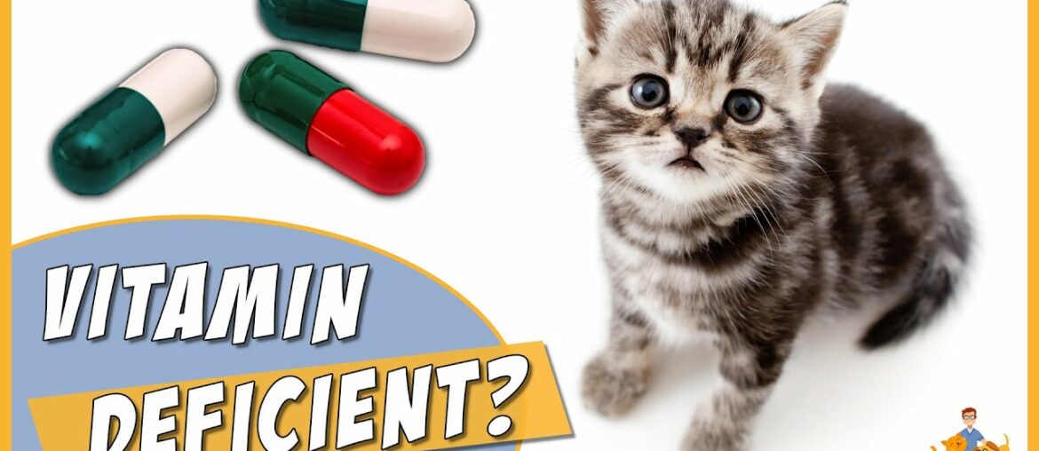 Is your Cat Vitamin Deficient?