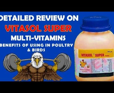 Detailed Review On Vitasol Super Multivitamins, Supplements | Benefits Of Using In Poultry & Birds