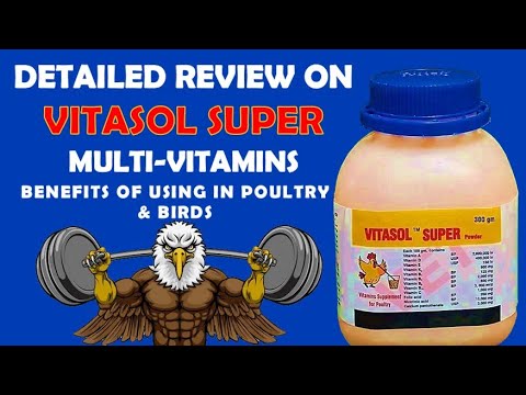 Detailed Review On Vitasol Super Multivitamins, Supplements | Benefits Of Using In Poultry & Birds