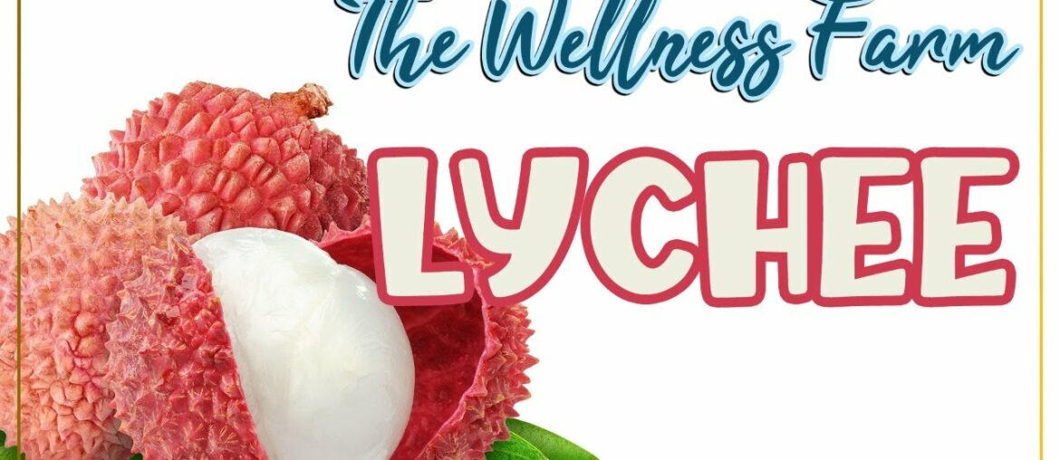 Lychee | Know Your Fruit | The Wellness Farm | Sukhoon