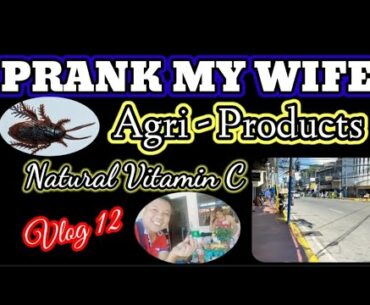 NATURAL VITAMIN C + PRANK MY WIFE + AGRI-PRODUCTS | Ep. 12 | Rsb Vlog