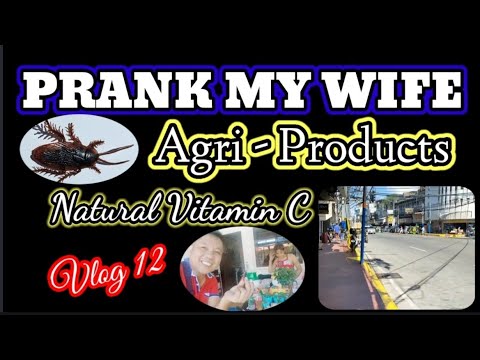 NATURAL VITAMIN C + PRANK MY WIFE + AGRI-PRODUCTS | Ep. 12 | Rsb Vlog