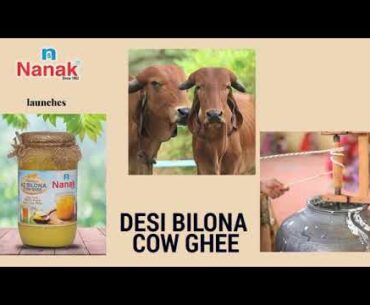 Nanak Desi ( A2 ) Bilona Cow Ghee Making Video - Certified Organic & Authentic | Vedic | Medicinal