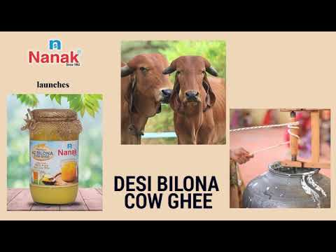 Nanak Desi ( A2 ) Bilona Cow Ghee Making Video - Certified Organic & Authentic | Vedic | Medicinal