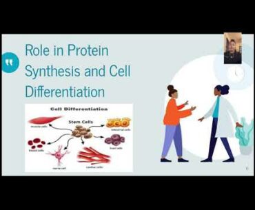 Vitamin A Presentation