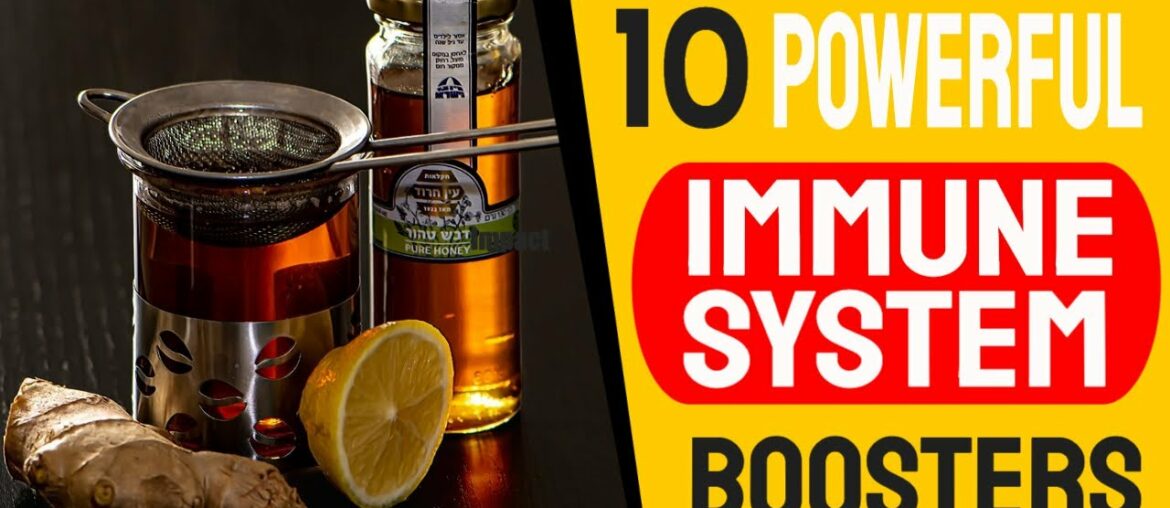 Immune System Booster - 10 Foods To Boost Your Immune System  - How To Boost Immunity Natural