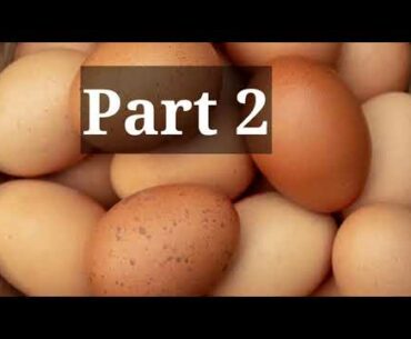 common concerns regarding eggs