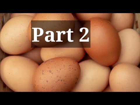 common concerns regarding eggs