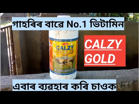 No.1 Vitamin for pig #Calzy Gold