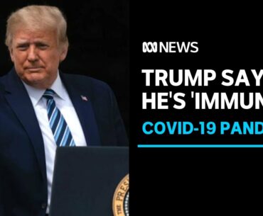 US President Donald Trump declares he's 'immune' to COVID-19 ahead of campaign return | ABC News