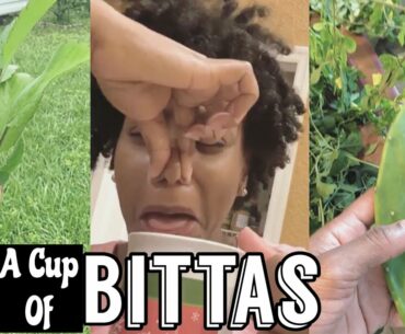 A Cup of Bittas|| HERBAL DETOXING for IMMUNITY BOOST