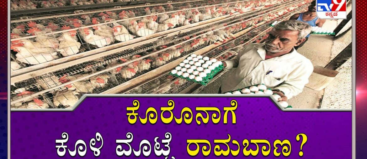 Due To Coronavirus, People Are Eating More Eggs To Improve Their Immunity In Chitradurga