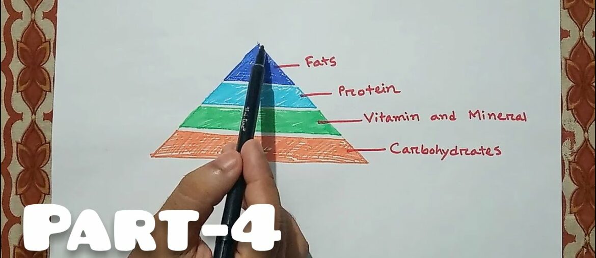 SSC Biology | Food ,Nutrition & Digestion | Part-4 |Food pyramid,Vit deficiency disease |