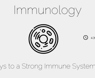 Keys to a strong immune system