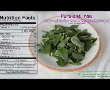 Purslane, raw (Nutrition Data)