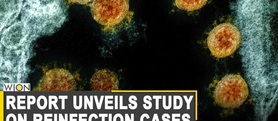 Study: COVID-19 reinfection casts doubt on virus immunity | World News