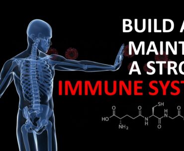 Build & Maintain a Strong Immune System
