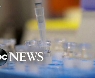 Coronavirus vaccine setback as researches confirm case with repeat infection