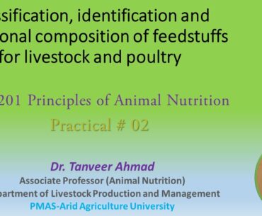 Classification of Feedstuffs-Lecture Series in Animal Sciences, Animal Nutrition