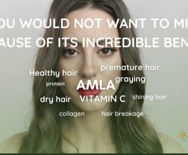 ALTVEDA ANTI-AGEING AMLA (INDIAN GOOSEBERRY) VITAMIN C SUPPLEMENT| Amla for Healthy Hair