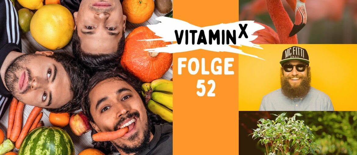 MC FITTI: Flamingos flambieren & weitere Heimwerkertipps | Marvin Endres | Vitamin X Podcast