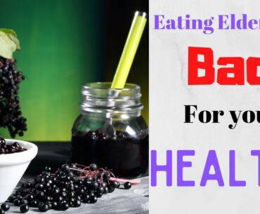 Elderberry Benefits, History and Dangers | Health Tips and Fun Facts | Jaye Wellness.