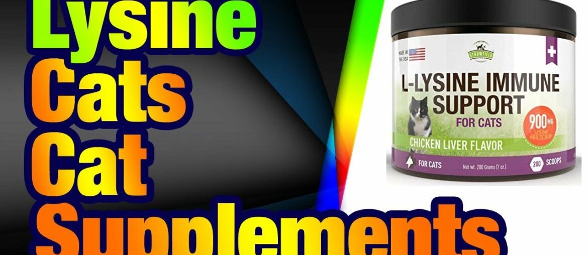 Lysine for Cats - L Lysine Powder Cat Supplements - 900mg, 200 Scoops - Llysine Kitten, Ca