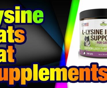 Lysine for Cats - L Lysine Powder Cat Supplements - 900mg, 200 Scoops - Llysine Kitten, Ca