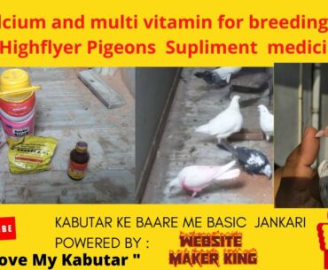 Jode wale kabutaro ke liye calcium or vitamin | Best calcium and multi vitam. supplement for Pigeon