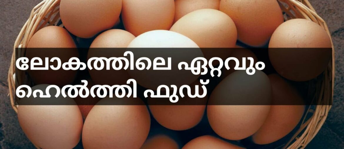 egg benefits