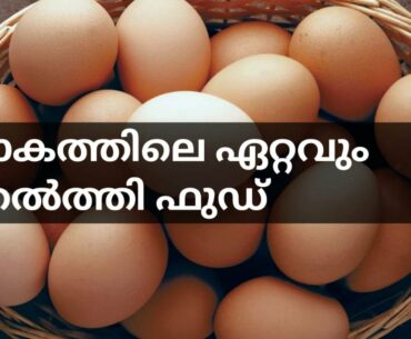 egg benefits