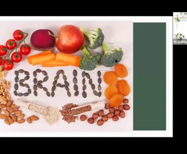 Impact of nutrition on brain and academic performance