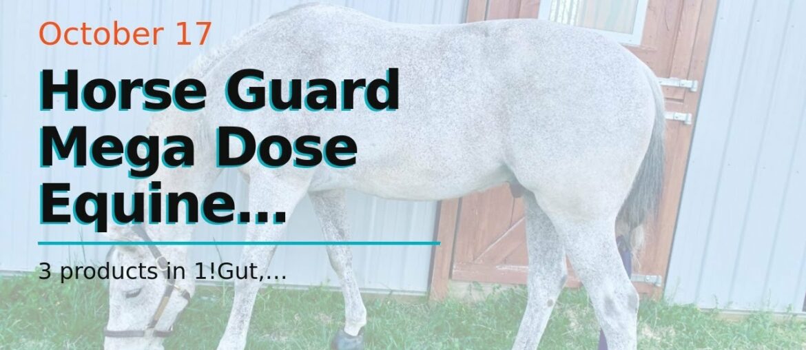 Horse Guard Mega Dose Equine Vitamin Mineral Hoof & Probiotic Supplement