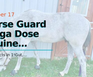 Horse Guard Mega Dose Equine Vitamin Mineral Hoof & Probiotic Supplement