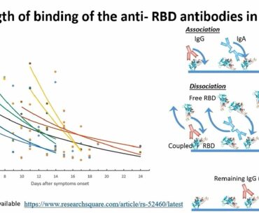 Multiparameter Immunity Monitoring of COVID-19 Patients Using a SARS-CoV-2 High Throughput SPR Assay