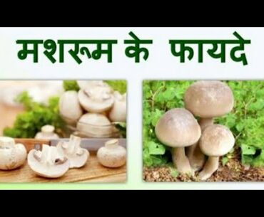 Best Health Fitness Of Mashroom | Mashroom Calcium Good Tips | Health Amazing Tips Video 2020..