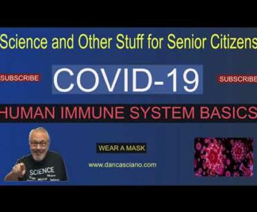 COVID-19: Human Immune System Basics