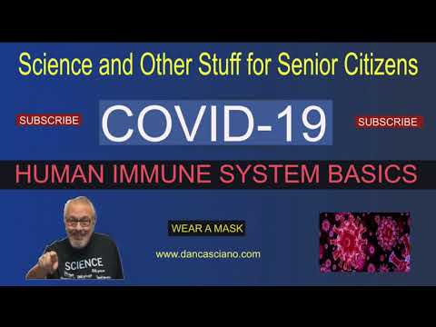 COVID-19: Human Immune System Basics