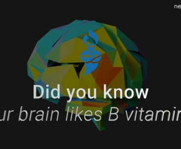 Did you know your brain likes B vitamins?