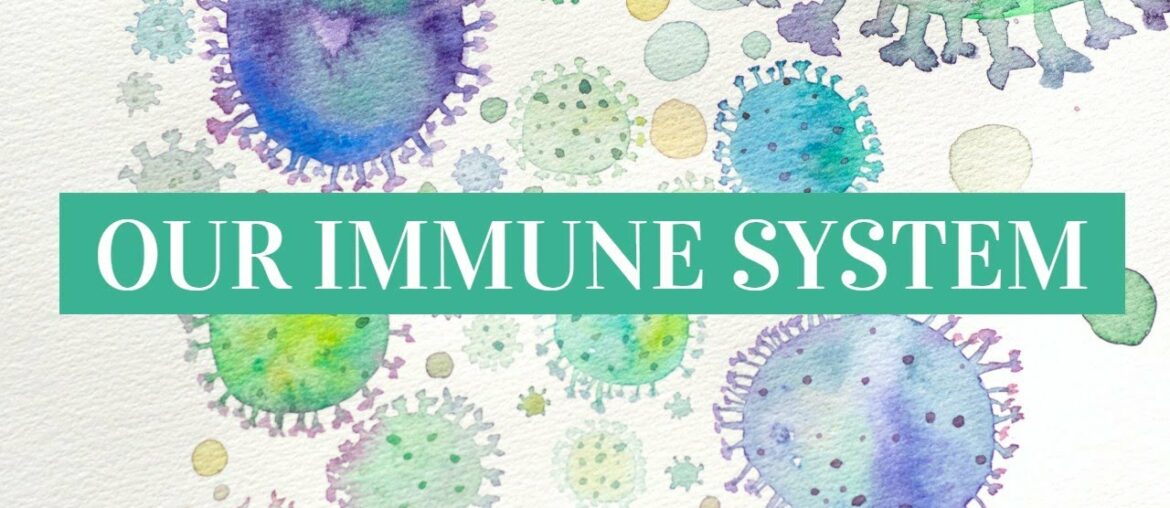 Our Amazing Immune System | How to Boody Immunity