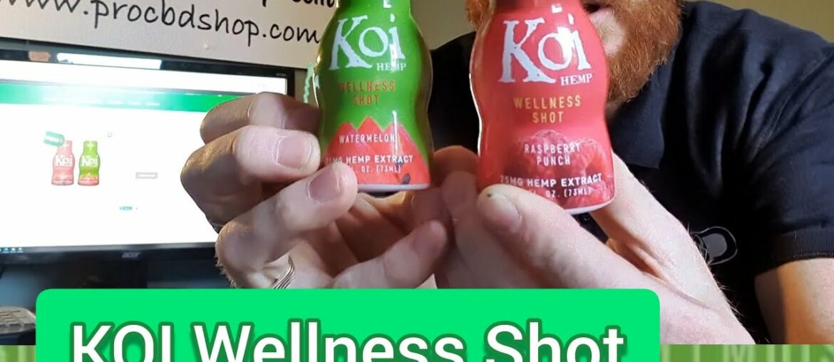 Koi Wellness Shot Review