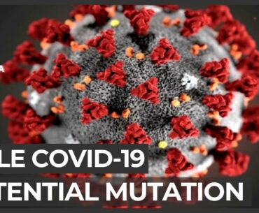 Scientists investigate possible coronavirus mutation in Chile